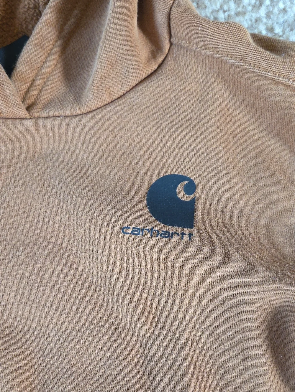 Carhartt Brown Kids' Hooded Sweatshirt
